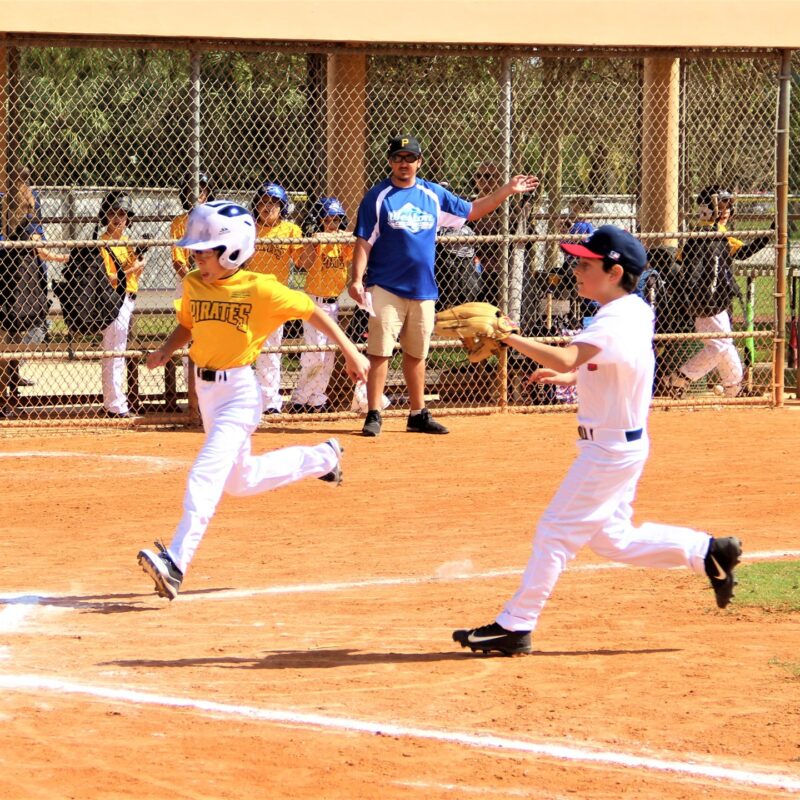 Wal Baseball League Weston Florida Cal Ripken Majors 11 12 Age Division
