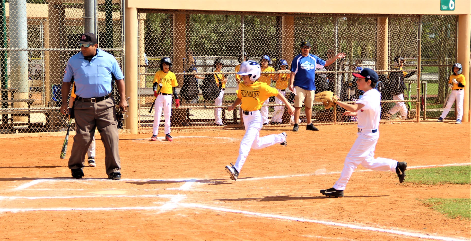 Weston Athletic League Baseball League Overview Weston Florida