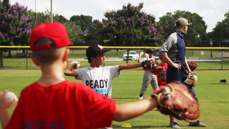 Baseball Academies Weston Davies Florida